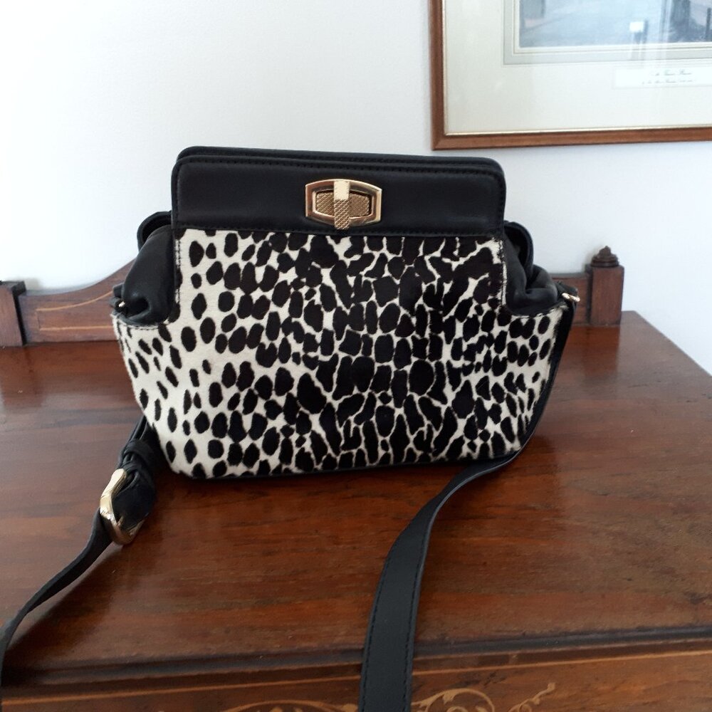 Ann Taylor Genuine leather and calfskin bag - Gorgeous!